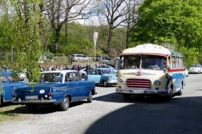 Opel Kapitän, Setra Bus